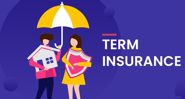 What is Term Insurance: Different Types, Pros and Cons